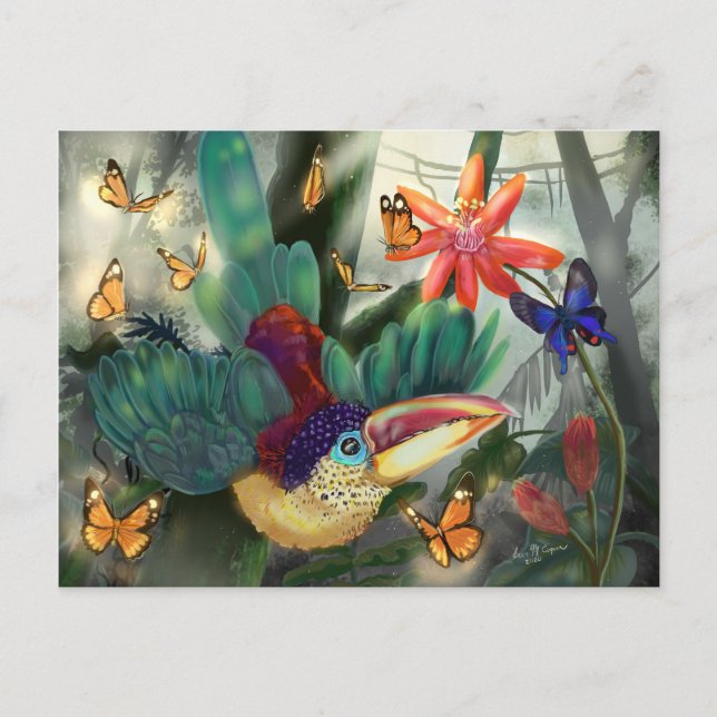 Curl Crested Aracari Toucan Postcard (Front)
