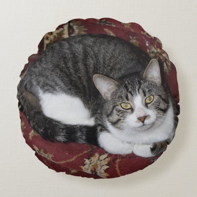 Curl up with a cat round cushion (Front)