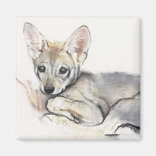 Curled Arabian Wolf Pup 2009 Magnet