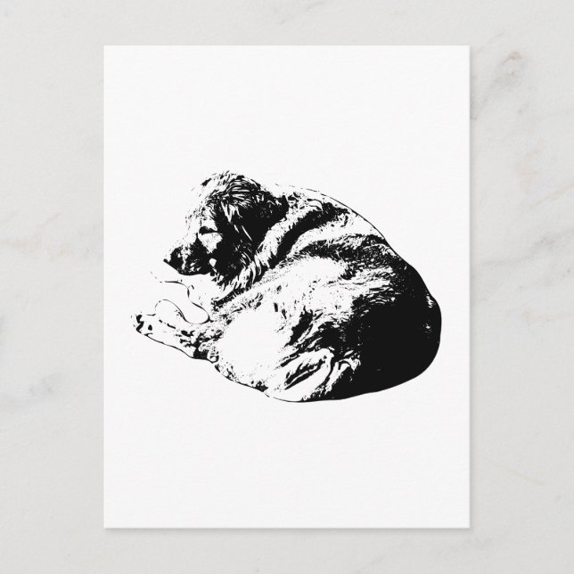Curled Black Ink Dog Sends Restful Note to All Postcard (Front)