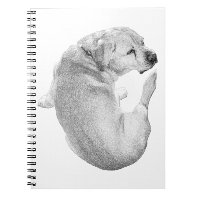 Curled Reflections Notebook (Front)