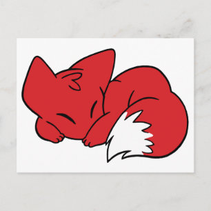 Curled Sleeping Fox Postcard