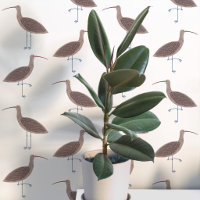 Curlew Bird Coastal Pattern