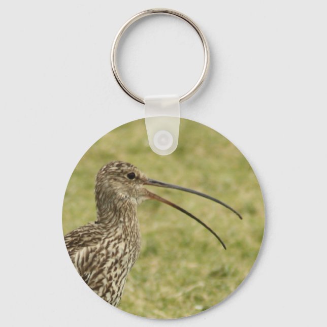 Curlew Key Ring (Front)