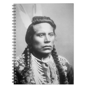 Curley, of the Crow tribe, one of Custer's scouts Notebook