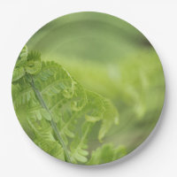 Curling Fern Leaves, Greenery, Blurred Background