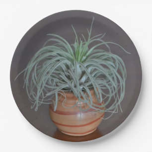 Curly Air Plant Paper Plate