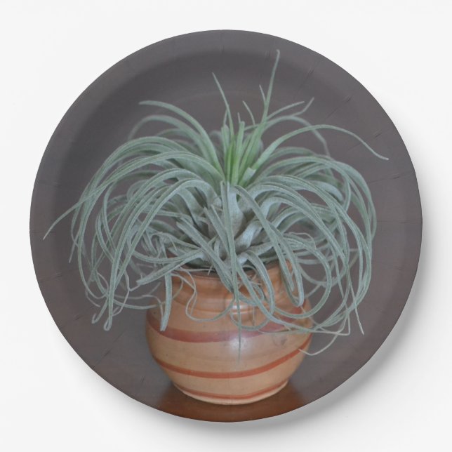 Curly Air Plant Paper Plate (Front)