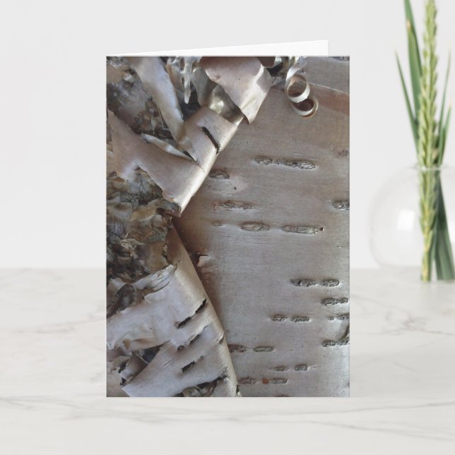 Curly Birch Bark Tree Rustic Card (Front)