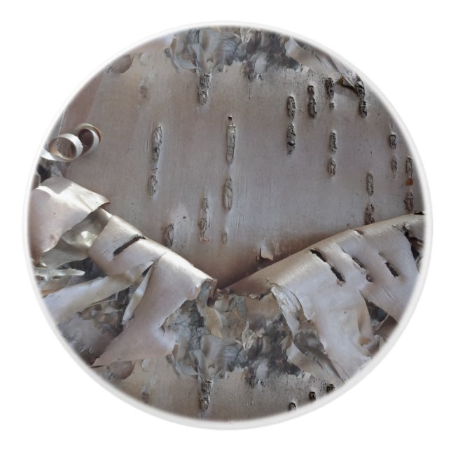 Curly Birch Bark Tree Rustic Ceramic Knob (Front)
