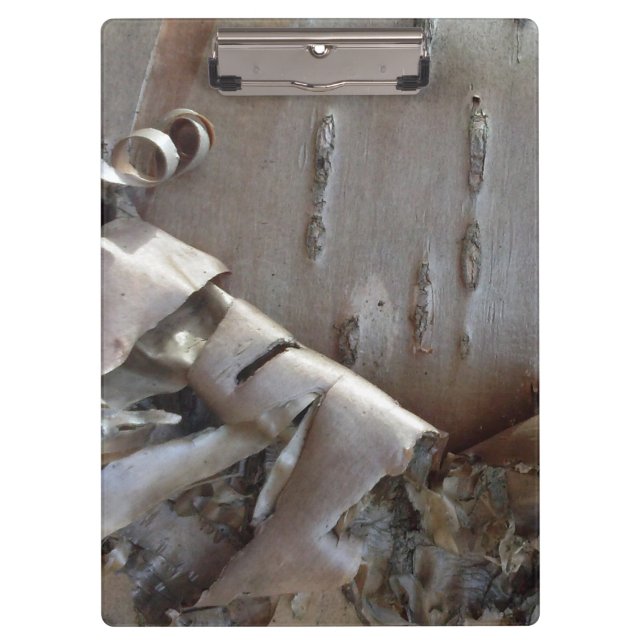 Curly Birch Bark Tree Rustic Clipboard (Front)