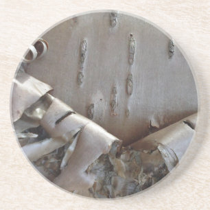Curly Birch Bark Tree Rustic Coaster
