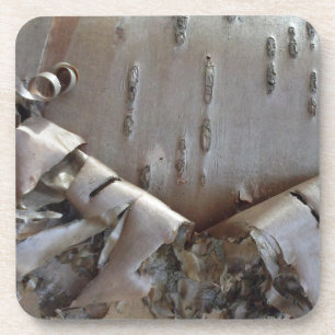 Curly Birch Bark Tree Rustic Coaster