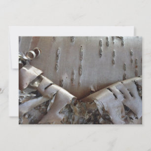 Curly Birch Bark Tree Rustic Holiday Card