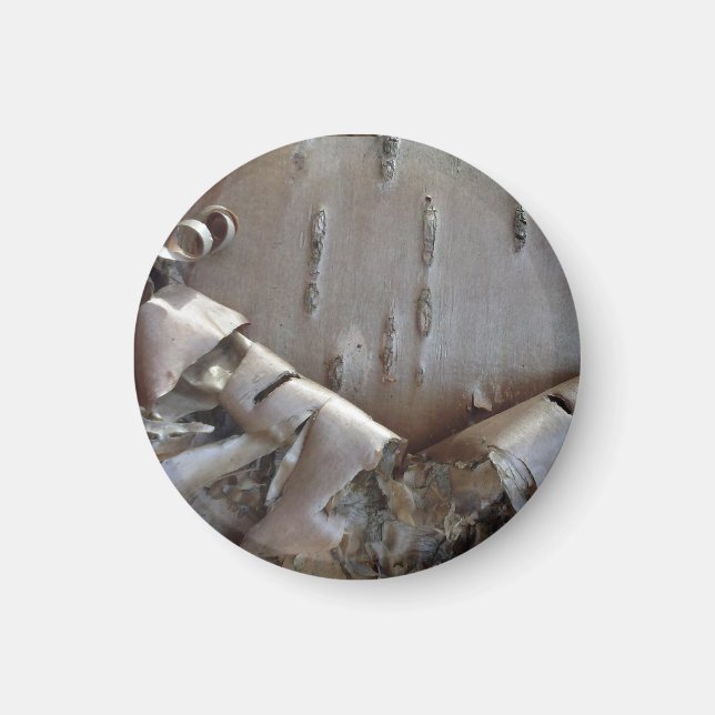 Curly Birch Bark Tree Rustic Magnet (Front)