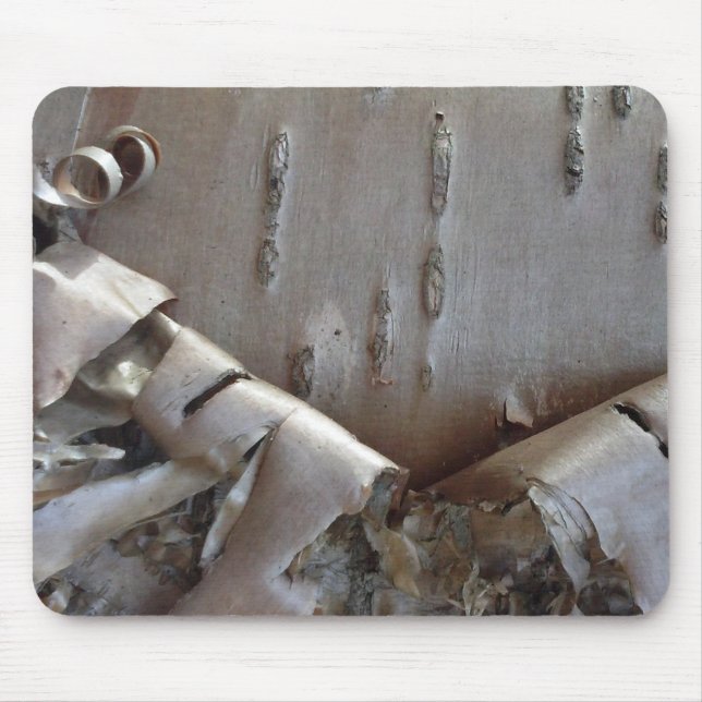 Curly Birch Bark Tree Rustic Mouse Pad (Front)