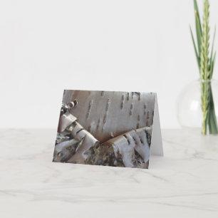 Curly Birch Bark Tree Rustic Note Card