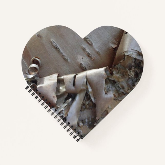 Curly Birch Bark Tree Rustic Notebook (Front)