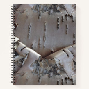 Curly Birch Bark Tree Rustic Notebook
