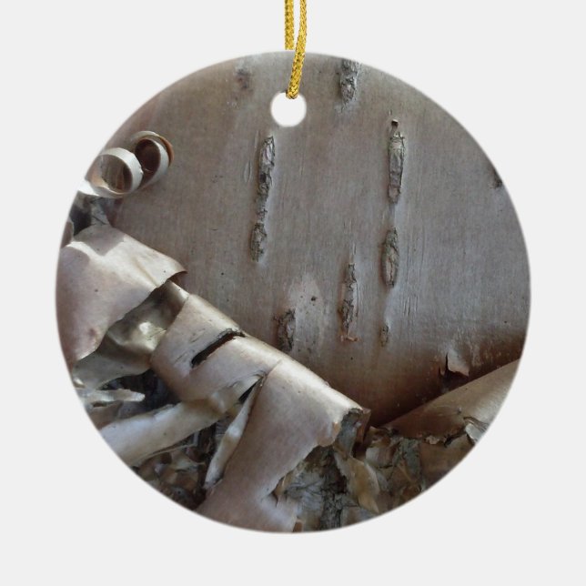 Curly Birch Bark Tree Rustic Ornament (Front)