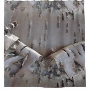 Curly Birch Bark Tree Rustic Shower Curtain