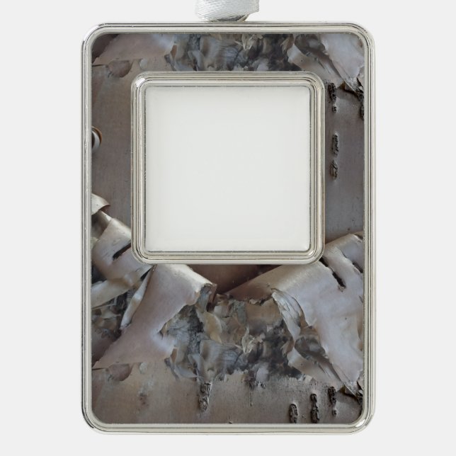 Curly Birch Bark Tree Rustic Silver Plated Framed Ornament (Front)