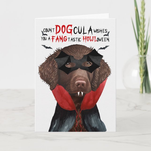 Curly Coat Retriever Funny Count DOGcula Halloween Holiday Card (Front)