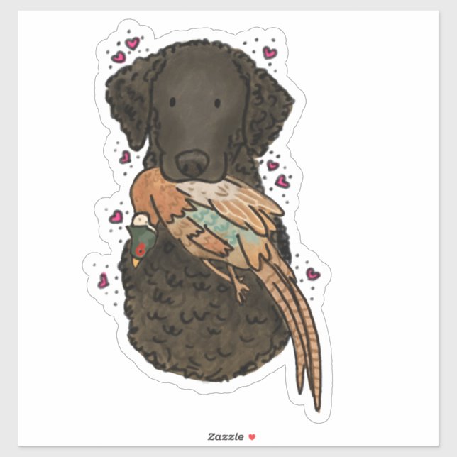 Curly Coated Retriever Car Decal (Sheet)