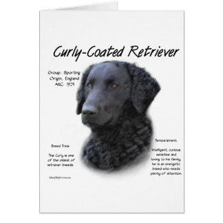 Curly-Coated Retriever History Design