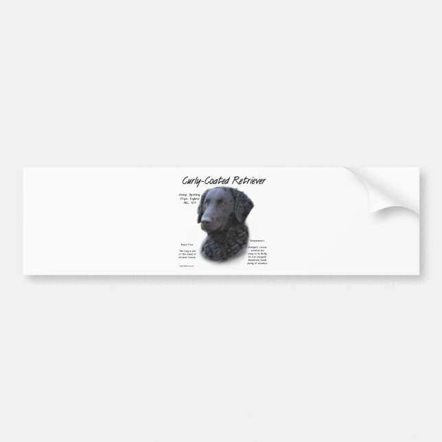 Curly-Coated Retriever History Design Bumper Sticker (Front)