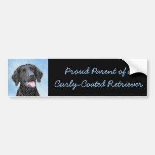 Curly-Coated Retriever Painting - Original Dog Art Bumper Sticker