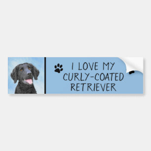 Curly-Coated Retriever Painting - Original Dog Art Bumper Sticker