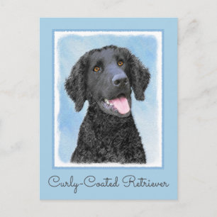 Curly-Coated Retriever Painting - Original Dog Art Postcard