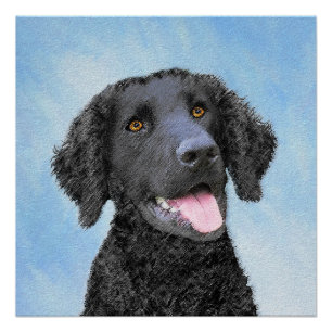 Curly-Coated Retriever Painting - Original Dog Art Poster