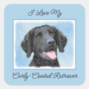 Curly-Coated Retriever Painting - Original Dog Art Square Sticker