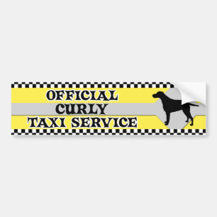 Curly Coated Retriever Taxi Service Bumper Sticker