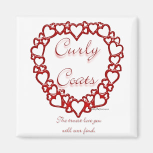 Curly-Coated Retriever True Love Magnet