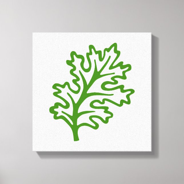 Curly kale leaf kitchen art graphic canvas art (Front)