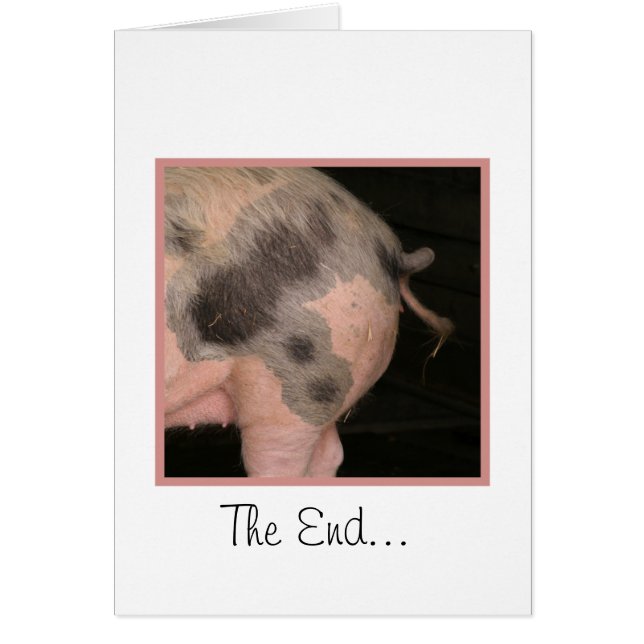 Curly Piggy Tail (Front)