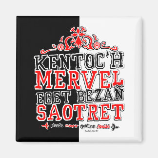 Currency of Brittany Magnet