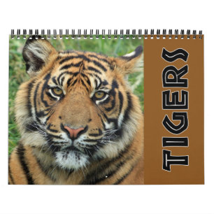 Current Wild Tiger Calendar