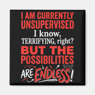 Currently Unsupervised Sarcastic Humourous Funny Magnet