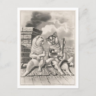 Currier & Ives Cat Serenade Postcard