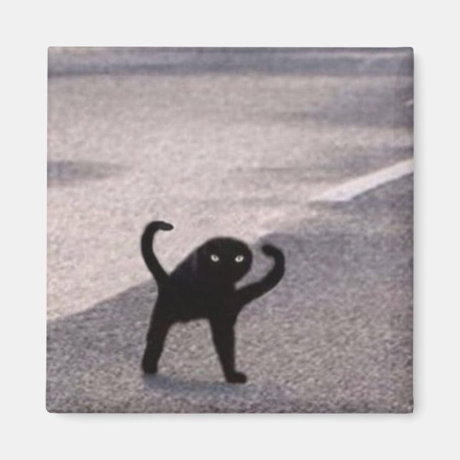 Cursed cat meme magnet (Front)