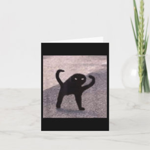 Cursed Cat Memes Cursed Cat Angry As Good Meme Card