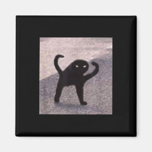 Cursed Cat Memes Cursed Cat Angry As Good Meme  Magnet