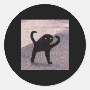 Cursed Cat Memes Cursed Cat Angry As Meme  Classic Round Sticker