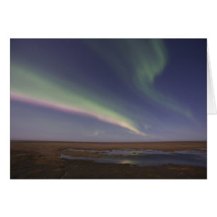 Curtains of coloured northern lights