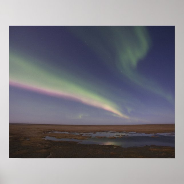 Curtains of coloured northern lights poster (Front)