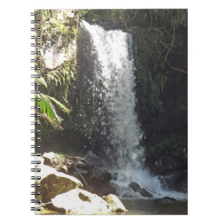 Curtis Falls Spiral Notebook